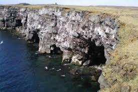Hafnarberg Seabird Cliffs