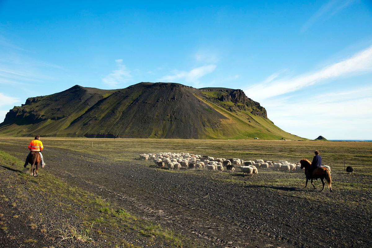 Eyjarhóll