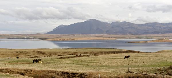 Grunnafjörður