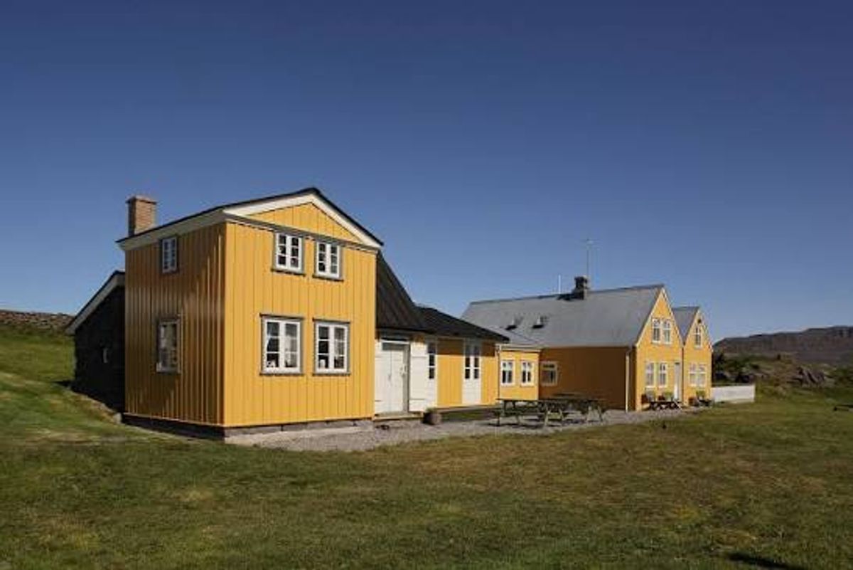Vigur in westfjords — photo 1