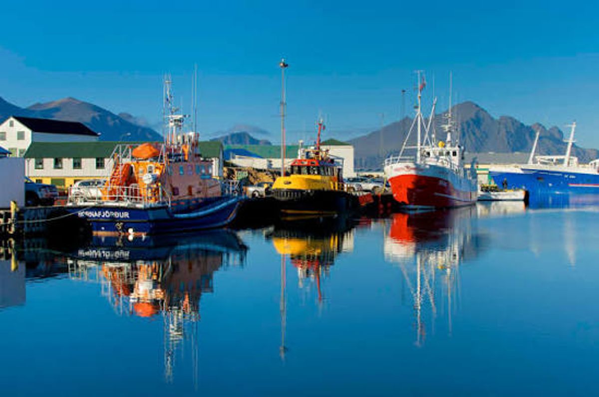 Hornafjörður in east-iceland — photo 4