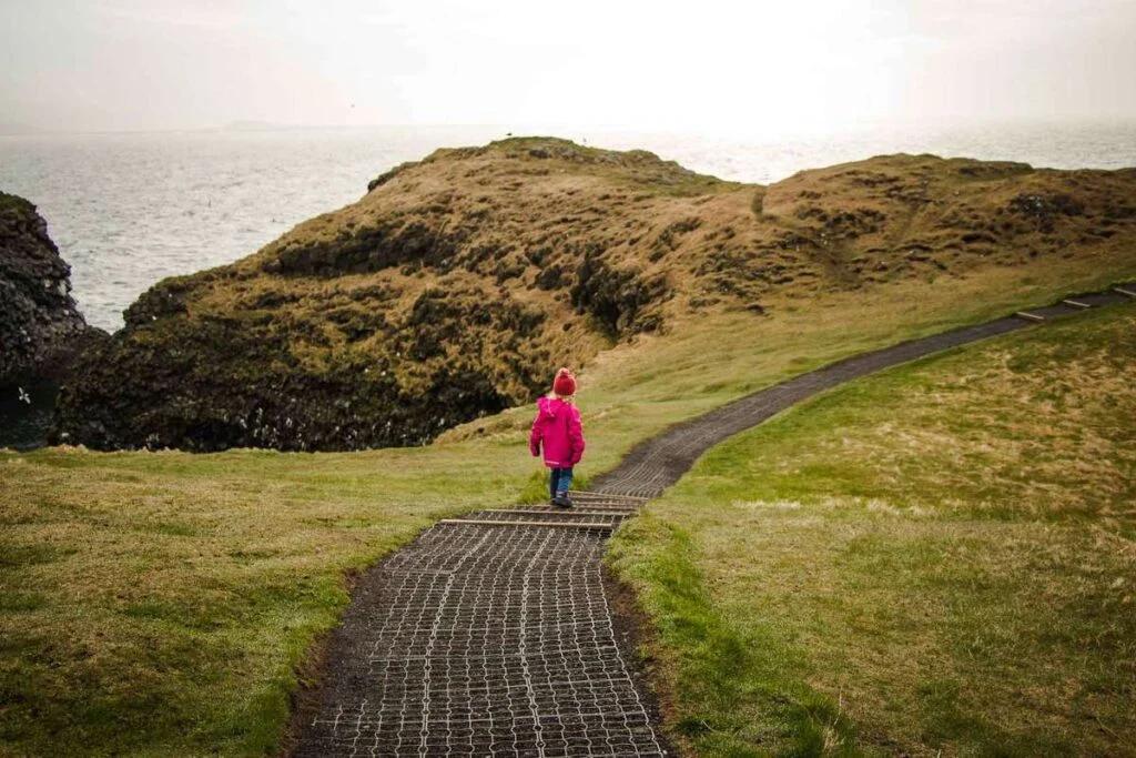 Arnarstapi to Hellnar Coastal Trail