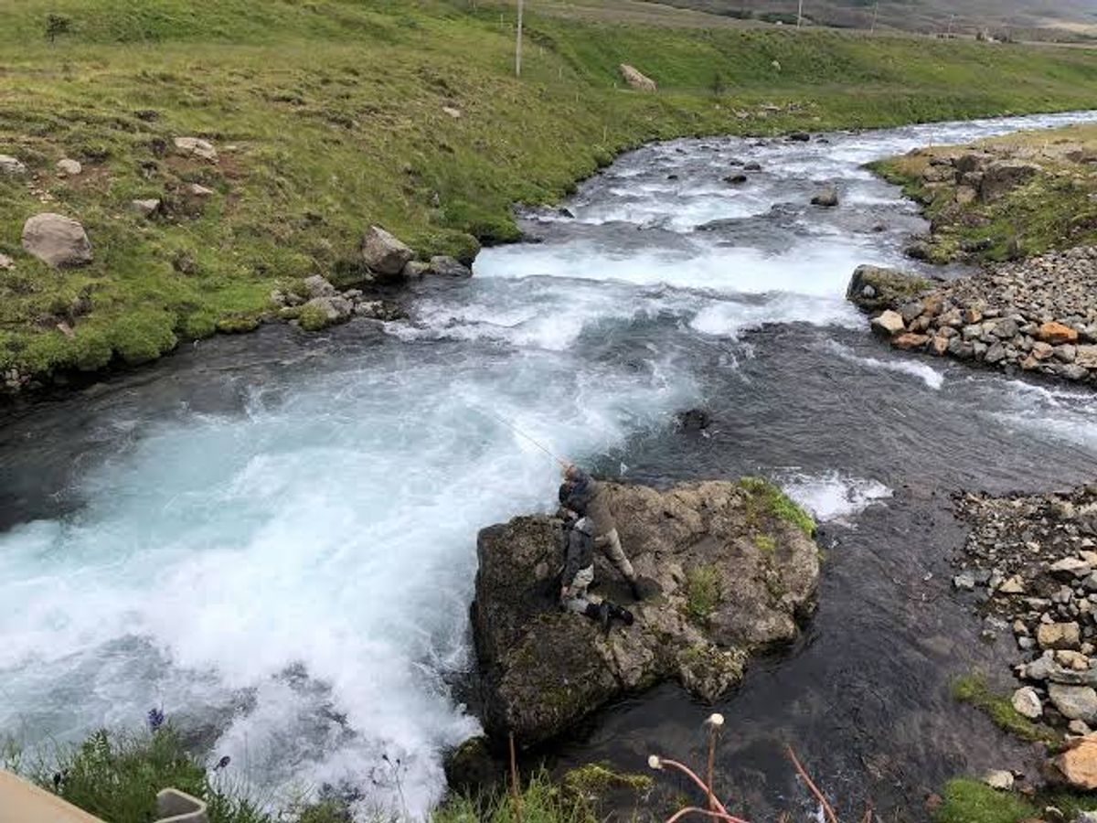 埃亚峡湾河 in north-iceland — photo 1