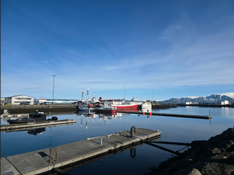 Reykjavik Old Harbour