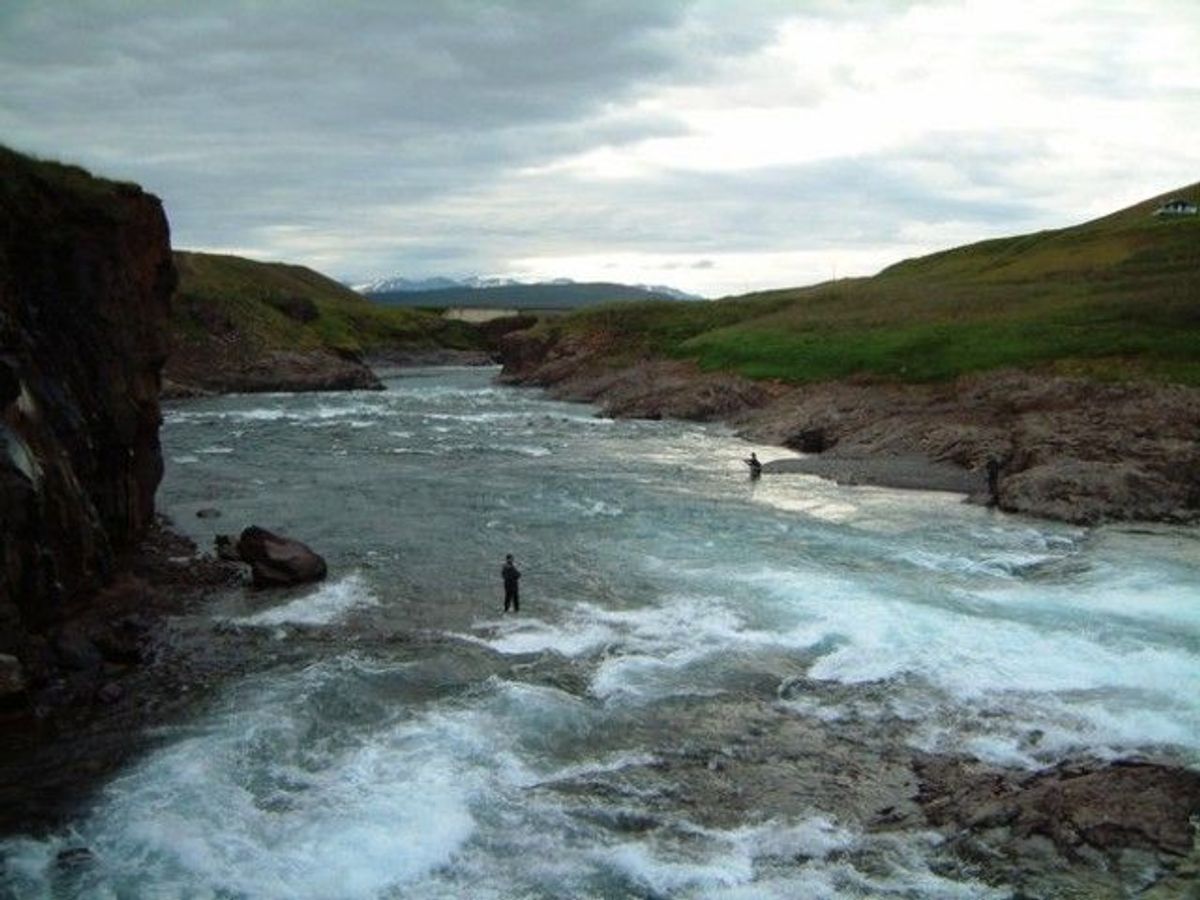 Andakílsá in west-iceland — photo 3