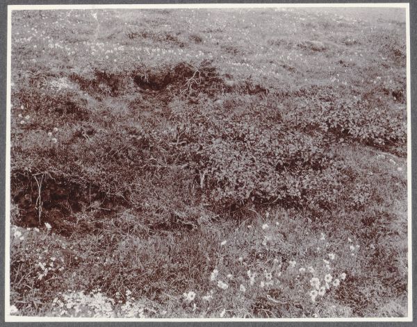 Kroppur