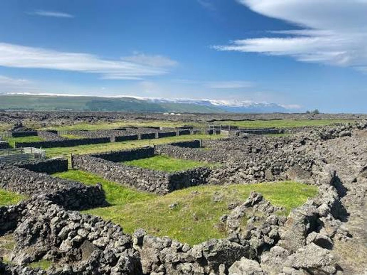 Hraunsrétt in north-iceland