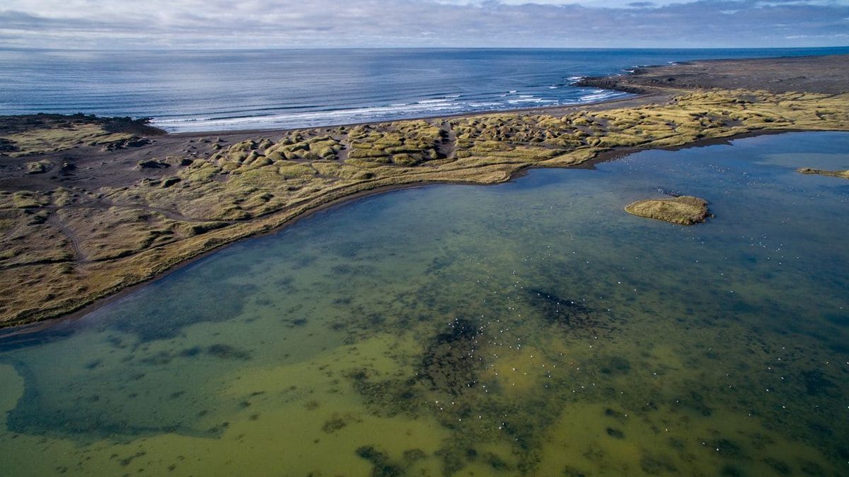 Stóra-Sandvík in reykjanes — photo 3