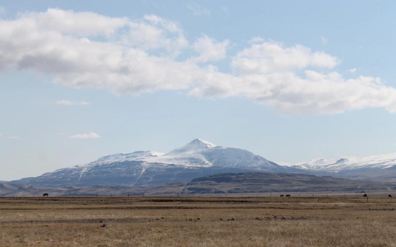 Mælifellshnjúkur