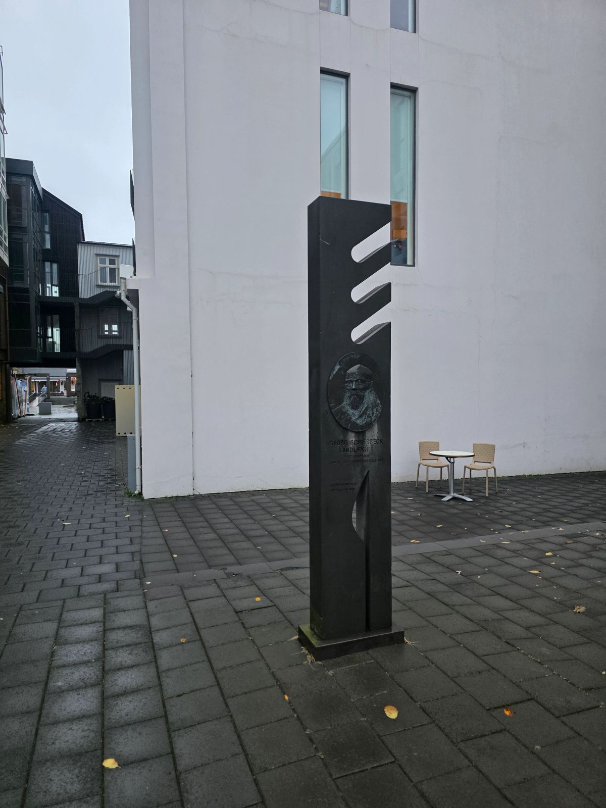 Monumento a Georg Schierbeck, Director de Sanidad in capital-region — photo 1