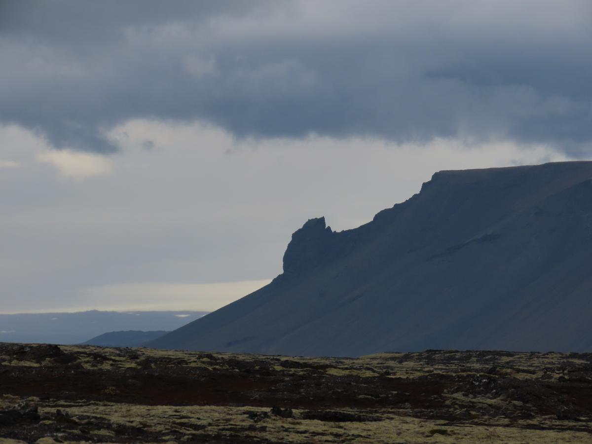 Eiríksnípa