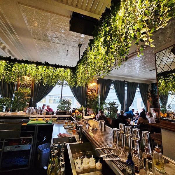 The Jungle Cocktail Bar