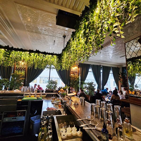 The Jungle Cocktail Bar