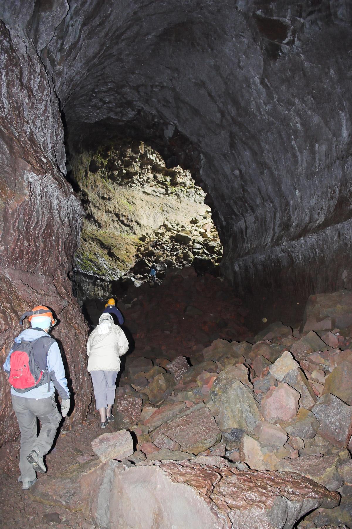 Viðgelmir