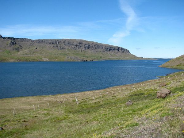 Borgardalur