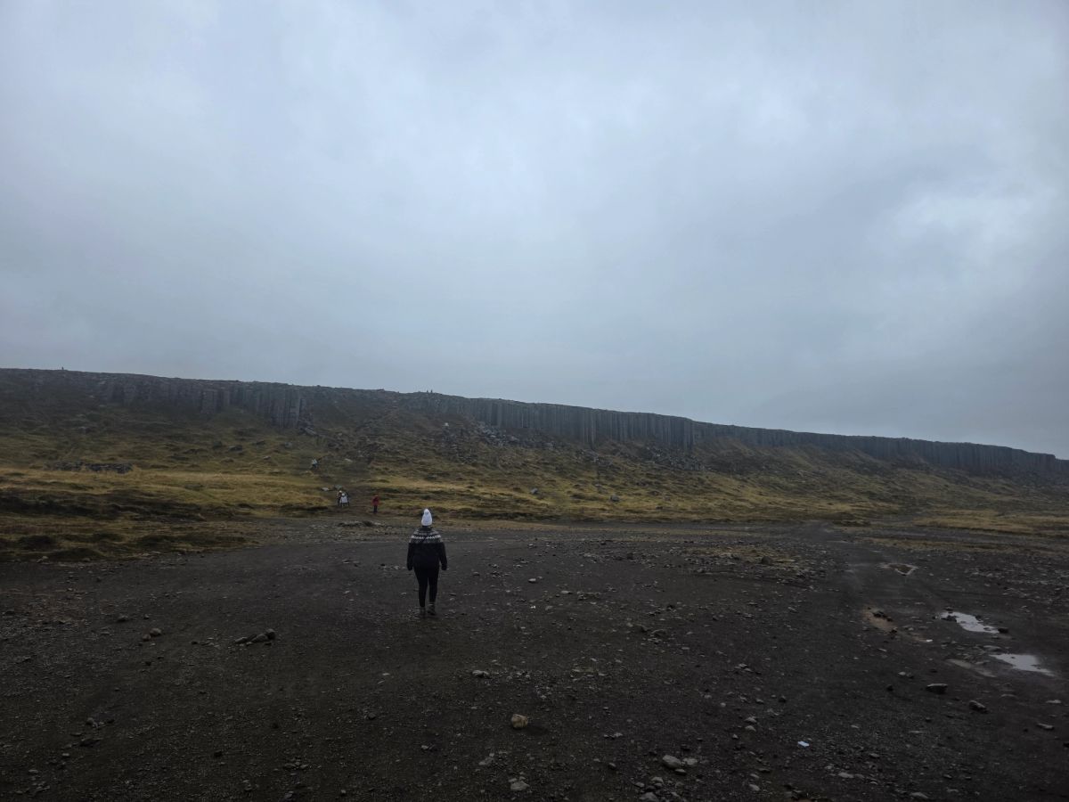 Columnas de basalto de Gerðuberg in snaefellsnes — photo 2