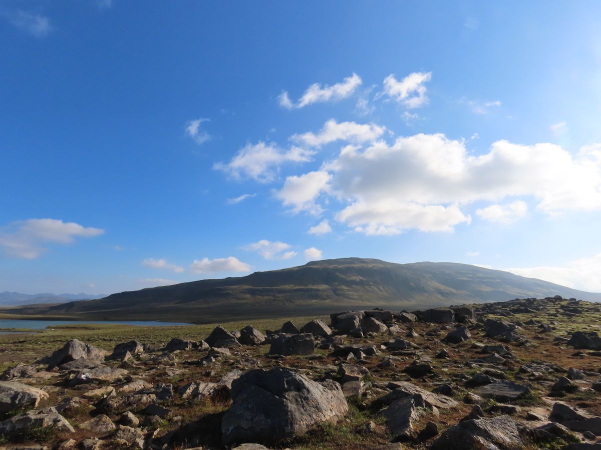 Kvígindisfell