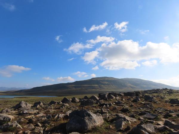 Kvígindisfell