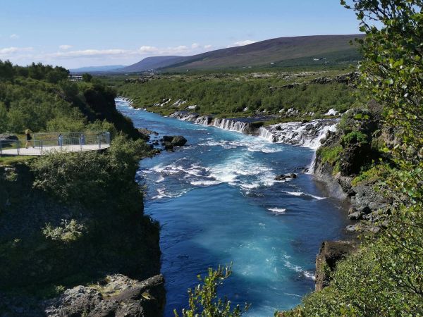 Þvottakona