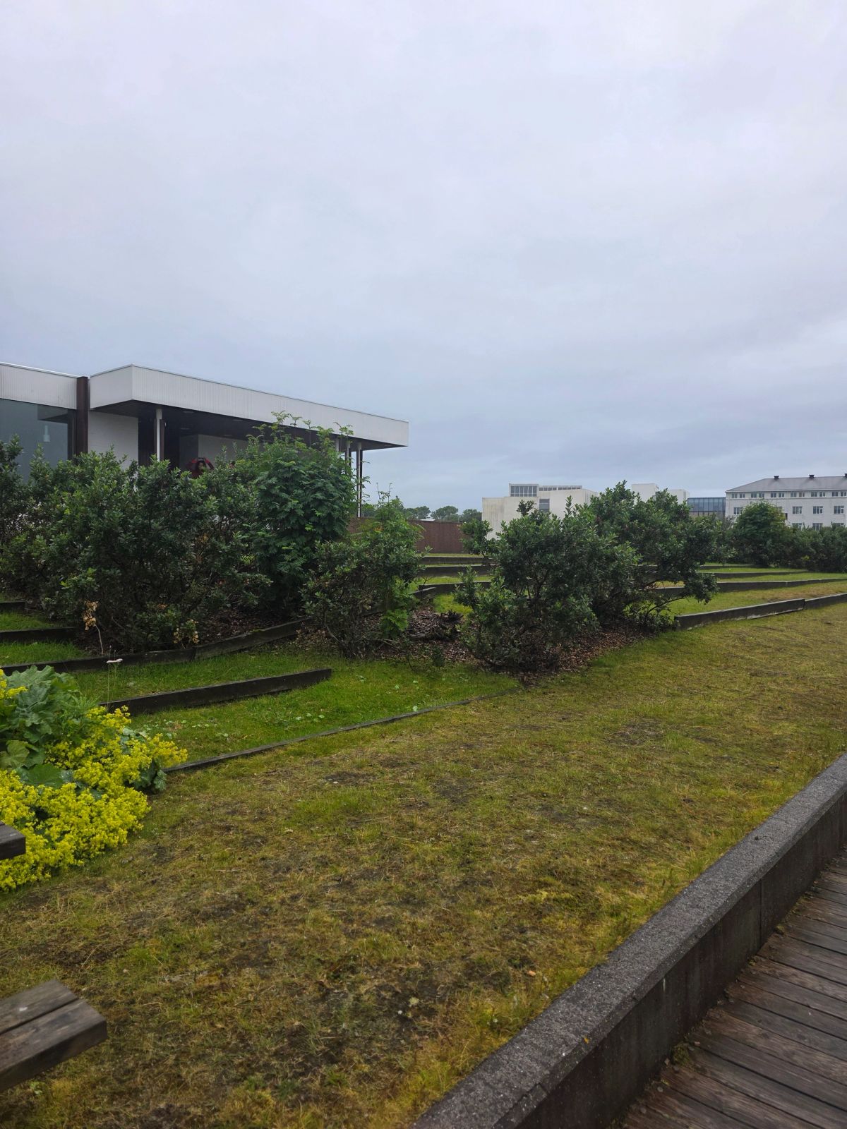 北欧之家旁的池塘，雷克雅未克 photo 3