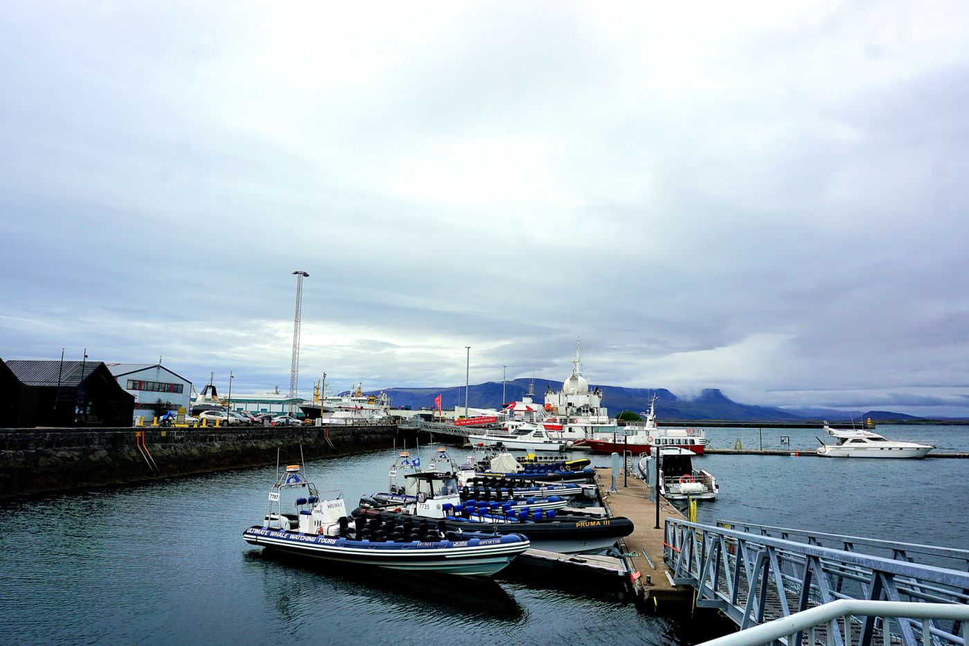 Whale Safari Reykjavík – Okkar RIB hvalaskoðunarupplifun