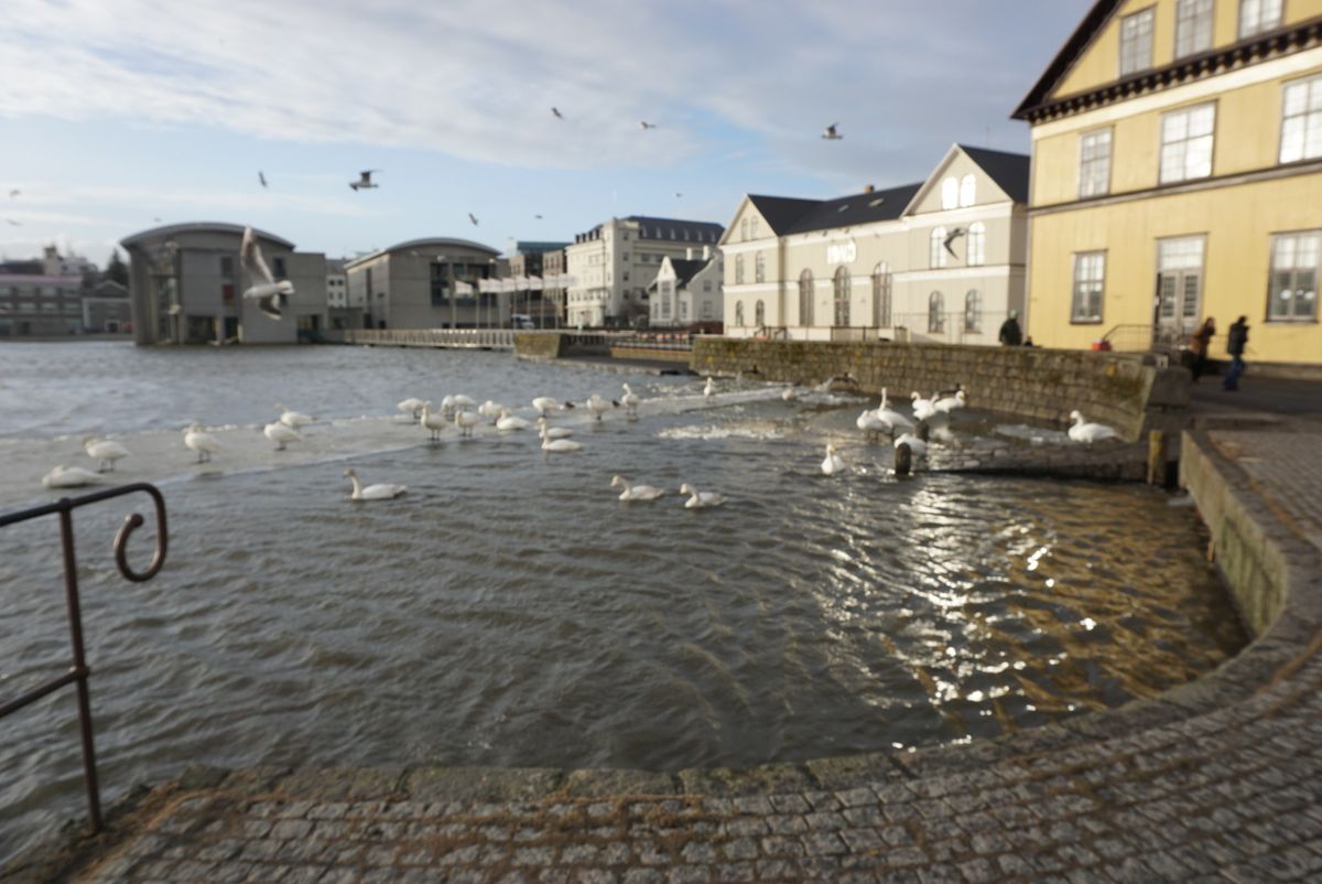 Ráðhús Reykjavíkur (City Hall) photo 1