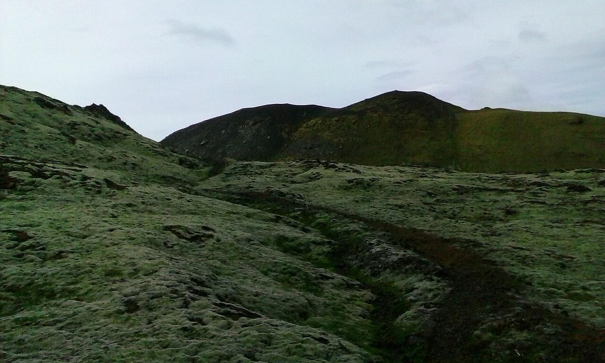 Díma í Lóni