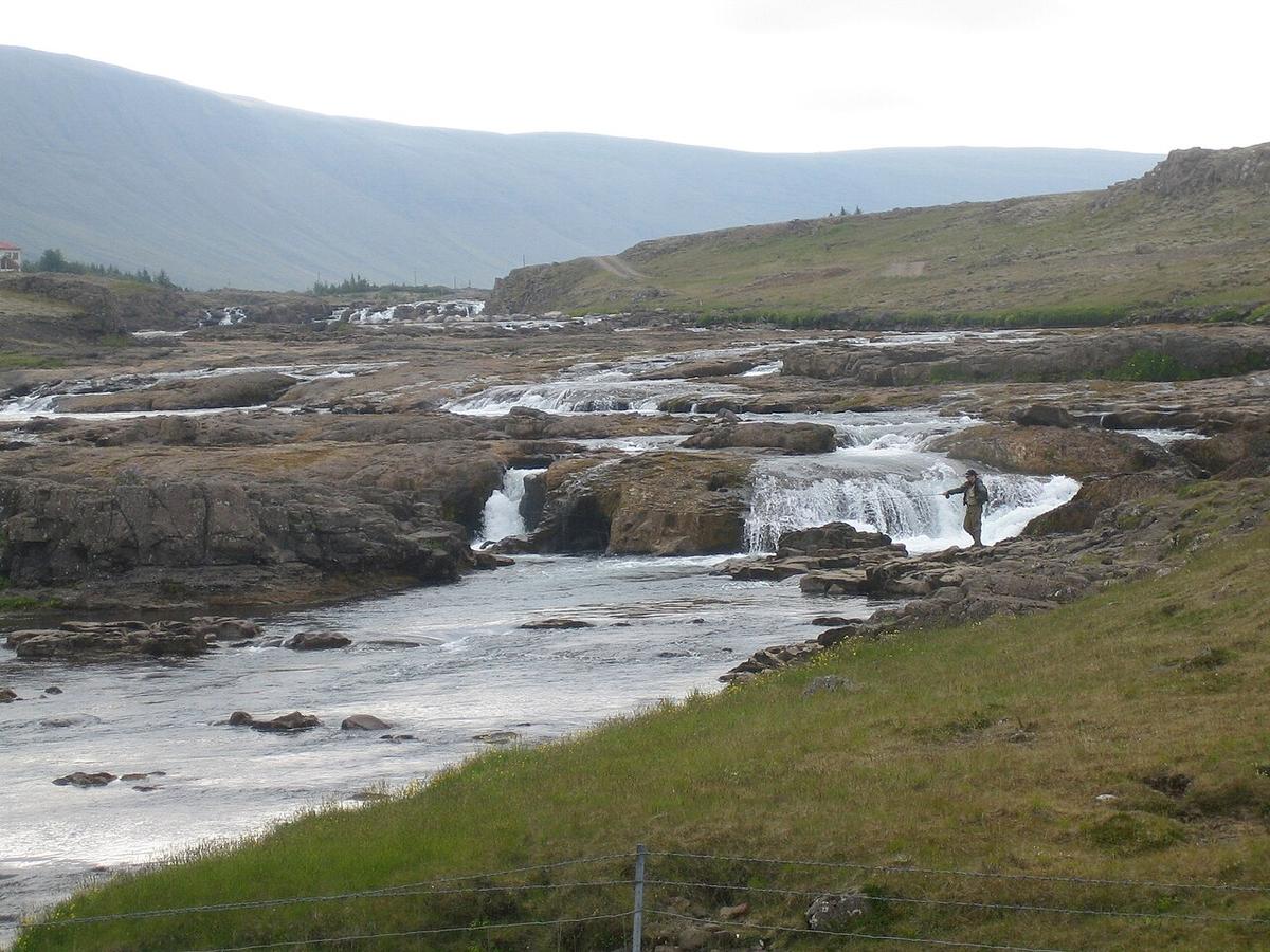 Brynjudalsvogur