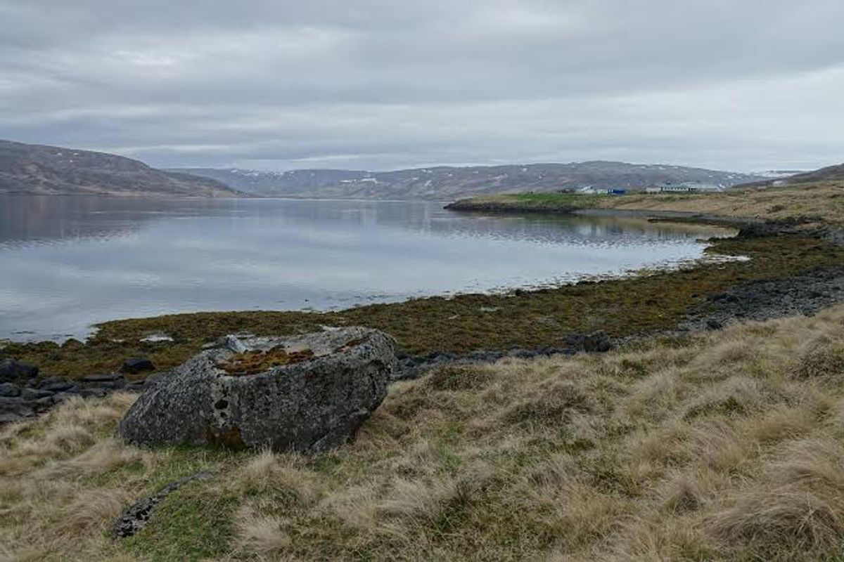 Selkollusteinn in westfjords — photo 1