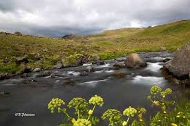 Blikdalsá
