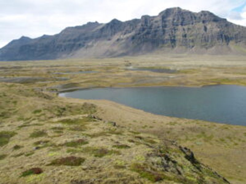 Borgarhóll