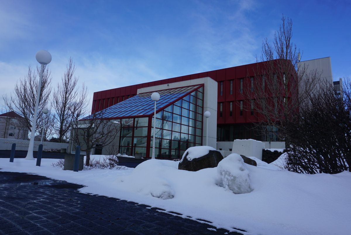 National Library of Iceland photo 2