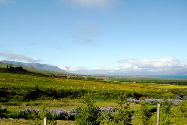 Kræklingahlíð