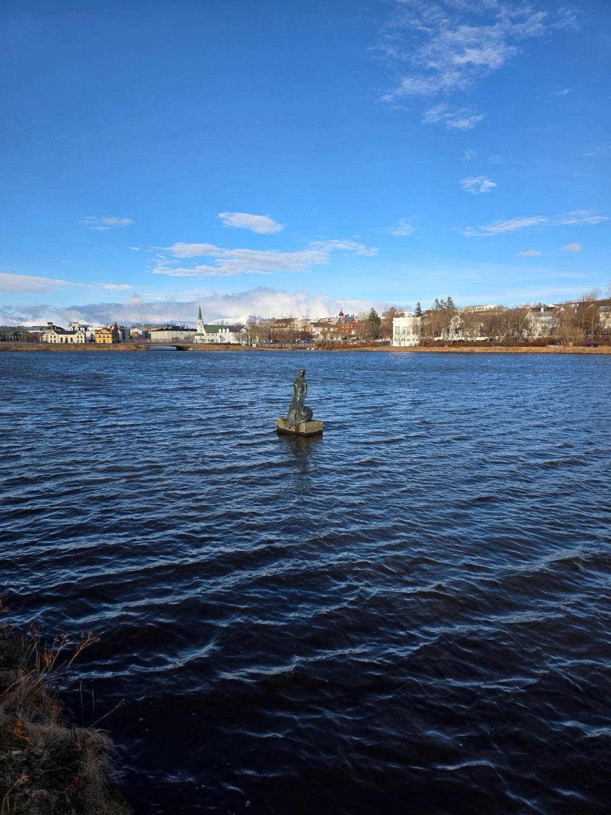 Tjörnin Pond – Reykjavík City Lake photo 1