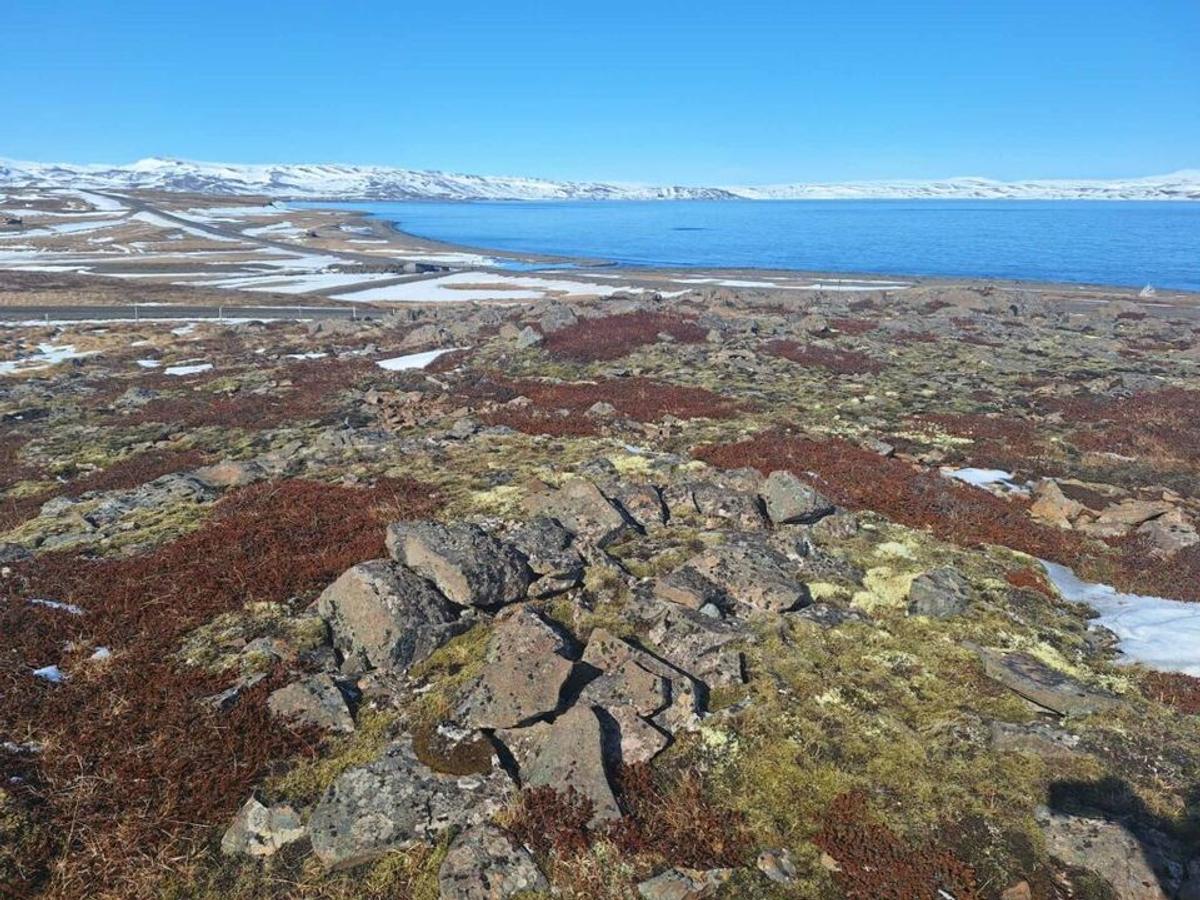 Lákaklettur in westfjords