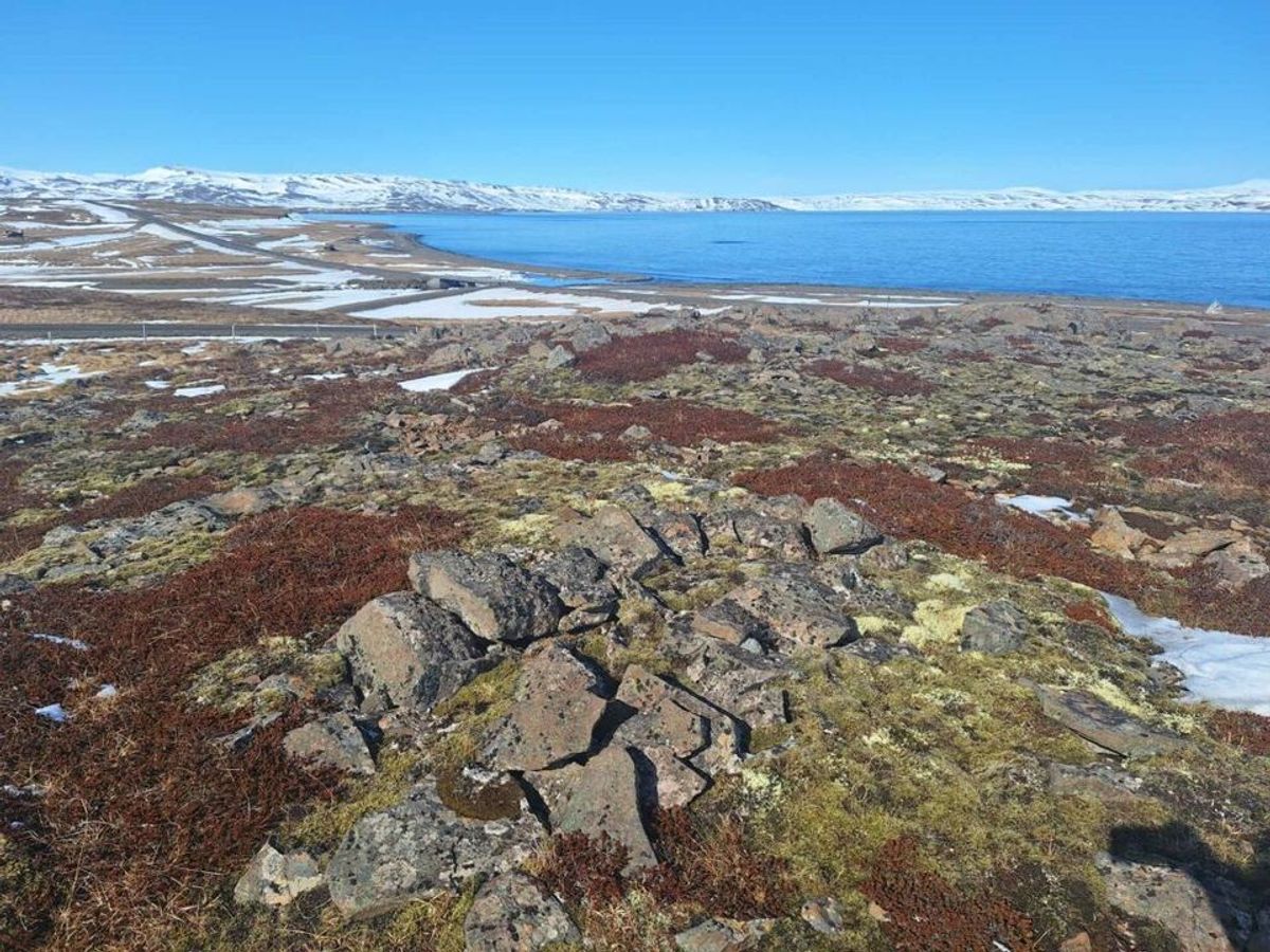 Lákaklettur in westfjords