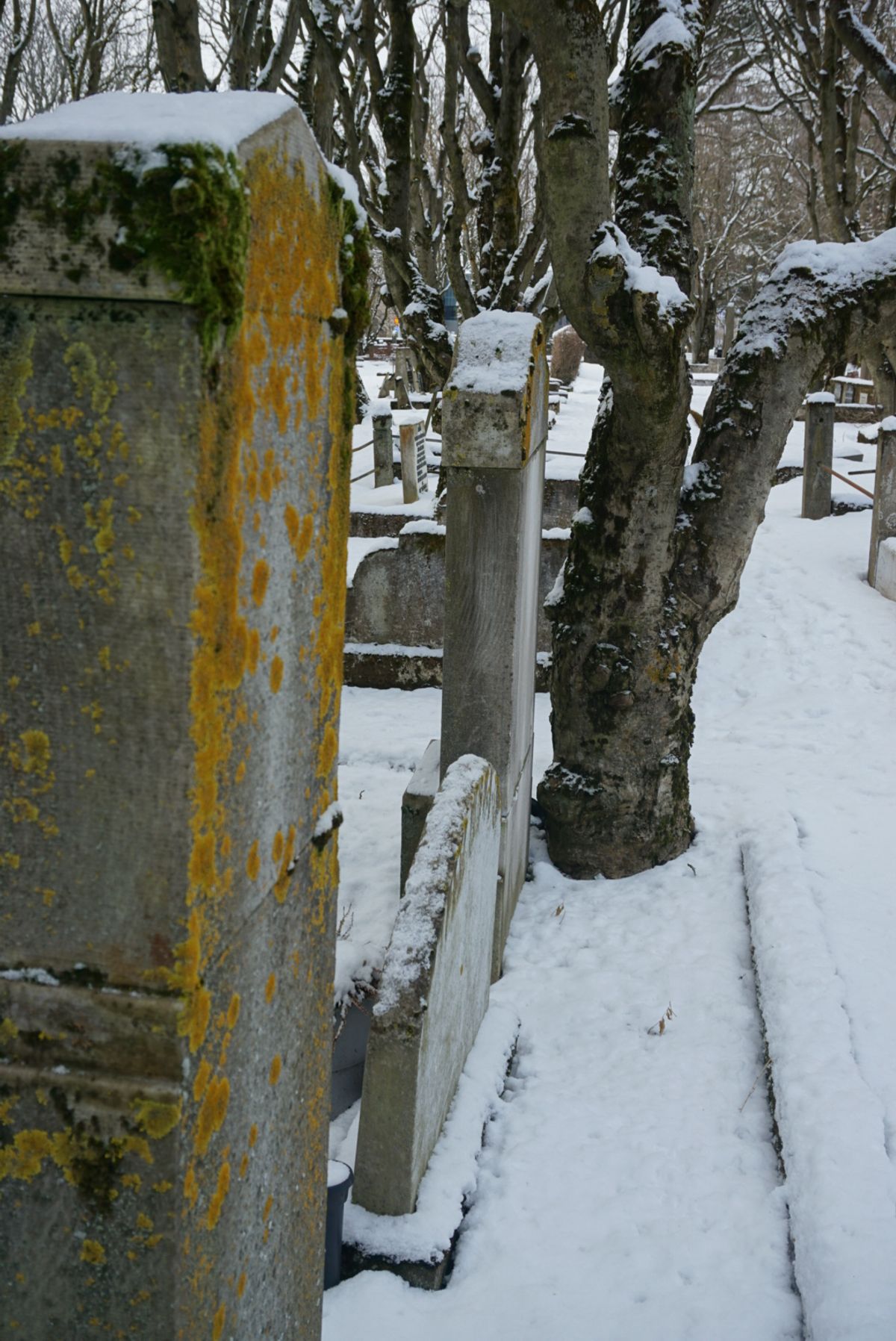 Hólavallagarður Cemetery photo 8