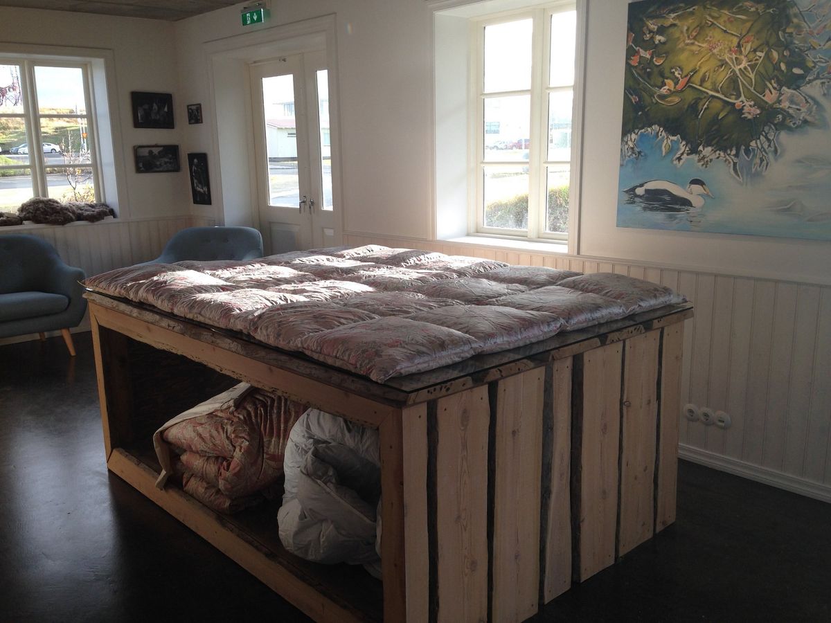 Eider Center - Æðarsetur Íslands photo 5