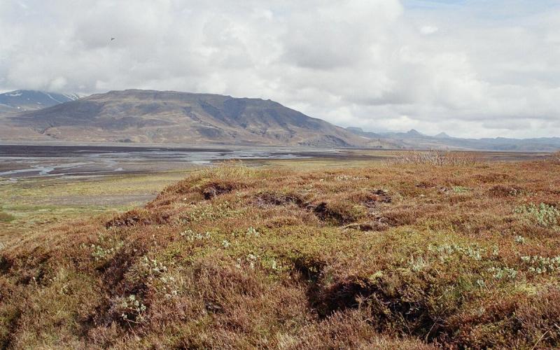 Þórólfsfell