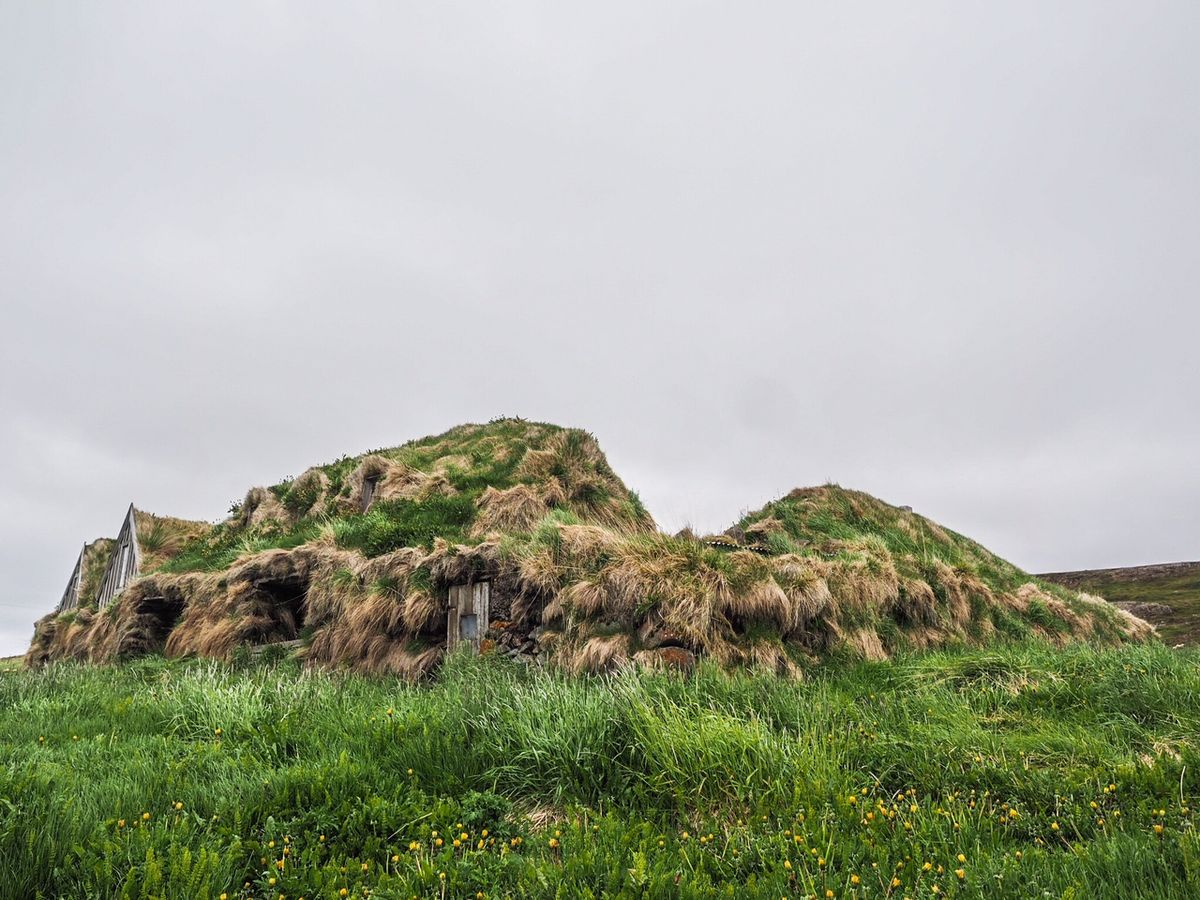 Heiðarbýlin í göngufæri in highlands — photo 2
