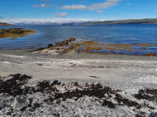Ísafjörður (Ísafjarðardjúp)