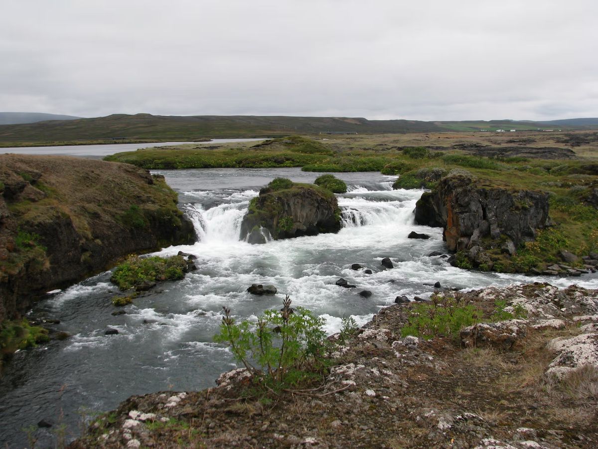 Æðarfossar