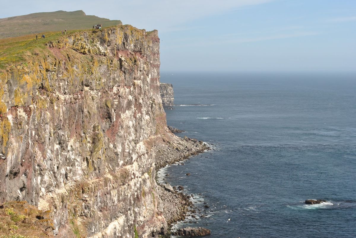 Acantilado de Látrabjarg y Frailecillos in westfjords — photo 6