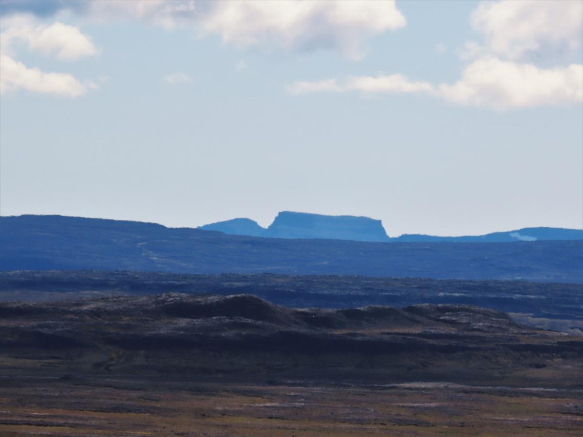 Bótarhnjúkar