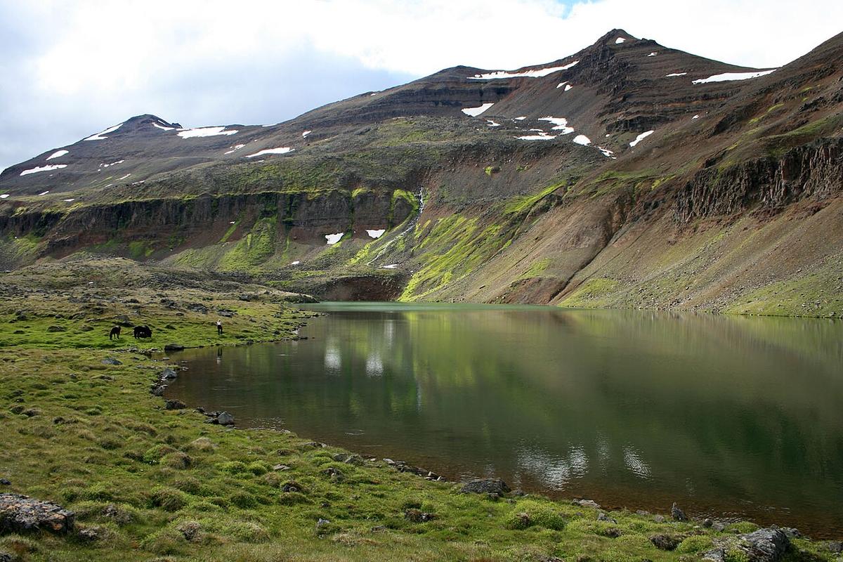 Brennihnjúkur