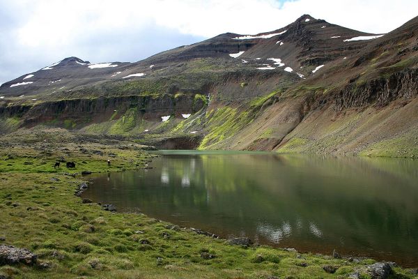 Reykjaheiði