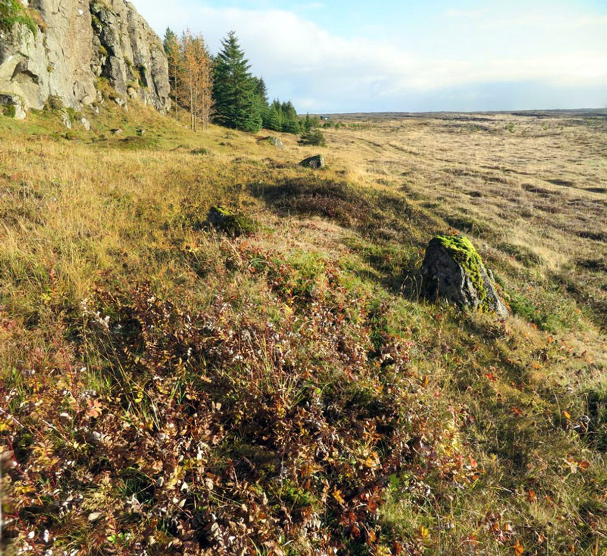 Háibjalli in reykjanes — photo 1