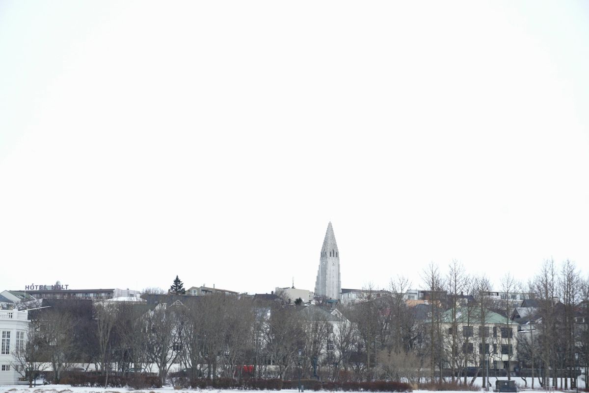 Tjörnin Pond – Reykjavík City Lake photo 5