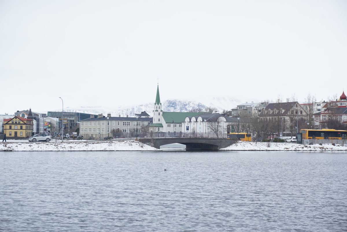 Tjörnin Pond – Reykjavík City Lake photo 4