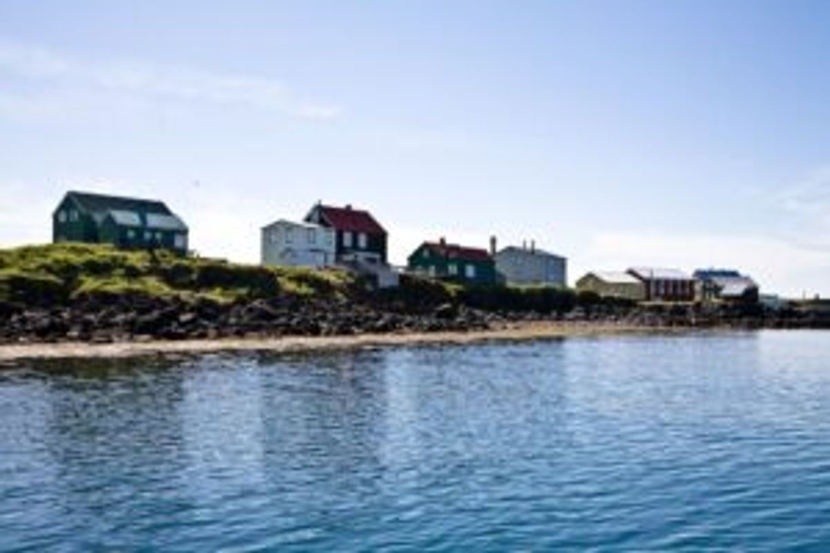 Brokey in snaefellsnes — photo 1